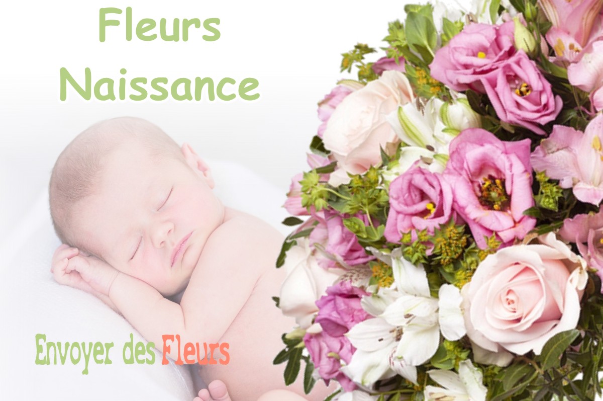 lIVRAISON FLEURS NAISSANCE à BLYE